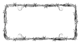 Cruiser Chrome 'Barbed Wire II' License Frame #22230 - 2 Frames - AutoCareParts.com